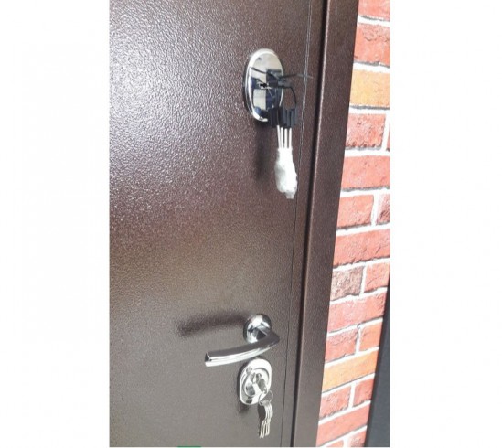 Металлическая дверь в квартиру Лекс 5А Цезарь Венге (панель №41)