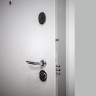 Металлическая дверь в квартиру Интекрон Колизей white Дуб тоскано поперечный
